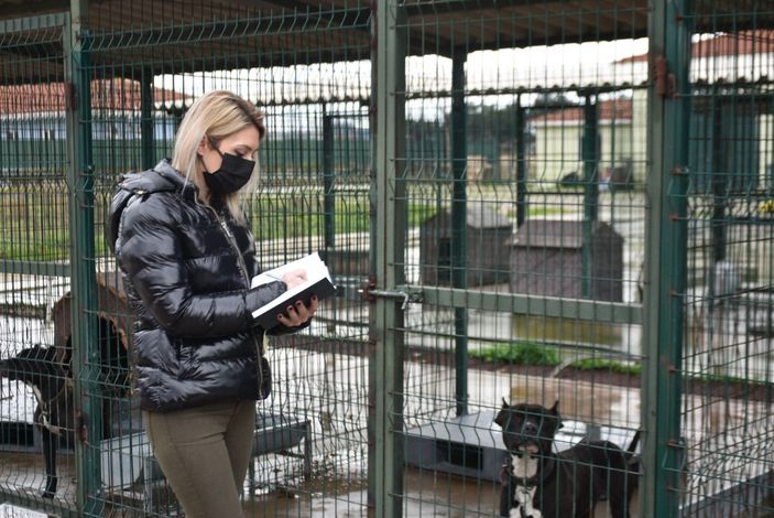 Edirne'de 'yasaklı ırk' köpekler için barınakta yer kalmadı -9