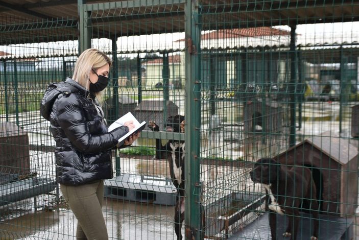 Edirne'de 'yasaklı ırk' köpekler için barınakta yer kalmadı -8
