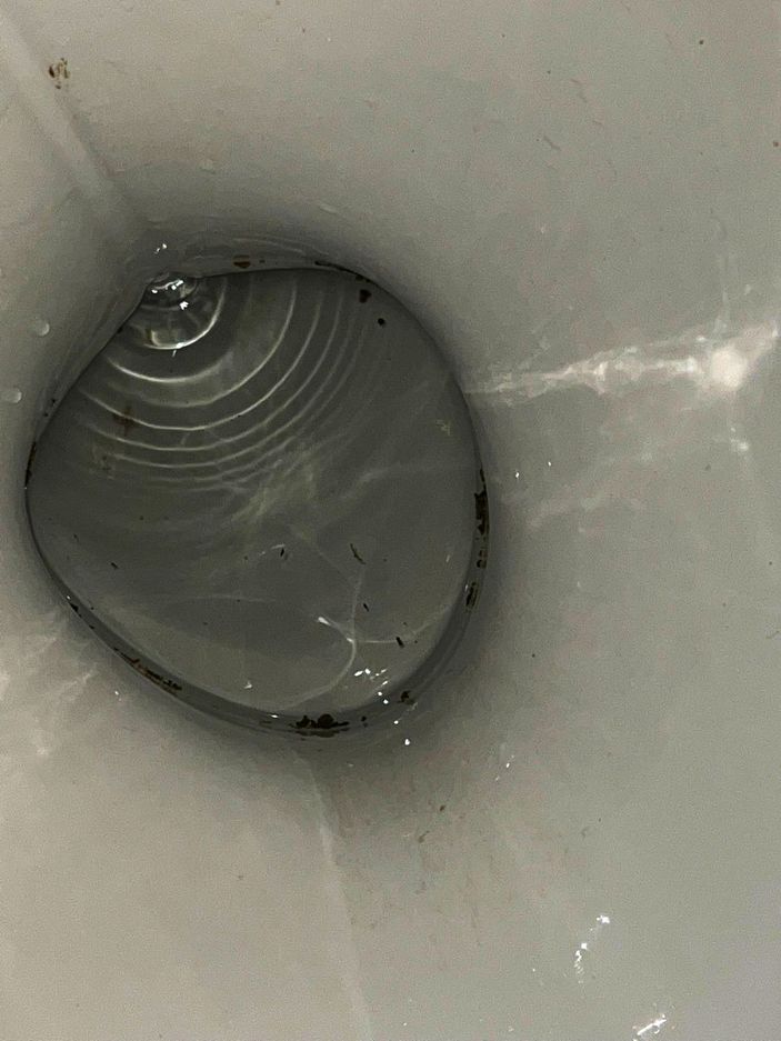 Avcılar’da polisin baskınını fark eden şüpheli uyuşturucuyu klozete döküp sifonu çekti -2