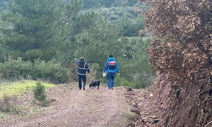 d Çanakkale'de kayıp kadın bulundu; yolunu kaybedince zeytinlikte uyumuş -4