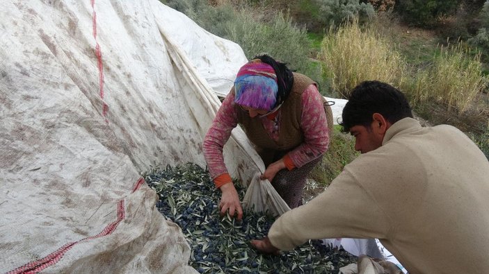 Aydın'da 12 yıl önce çift kol nakli yapılan çiftçi, tıp tarihine geçti