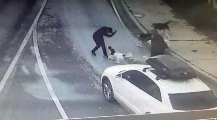 d Bakırköy’de iş adamına 6 köpeğin saldırdığı anlar kamerada -4