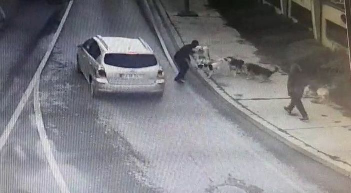 Bakırköy’de iş adamına 6 köpeğin saldırdığı anlar kamerada -1