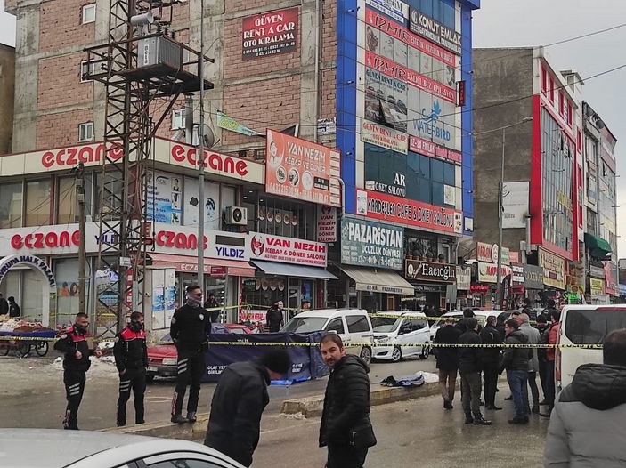 Van'da otomobilde ve aracın yakınında 2 ceset bulundu; 1 kişi gözaltında  -8