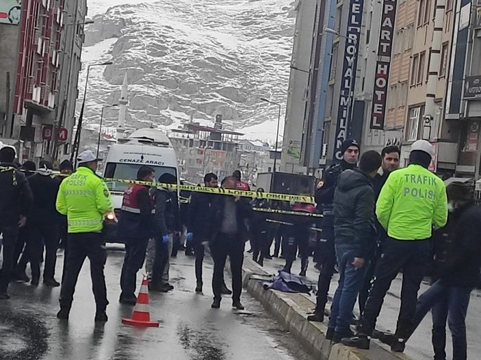 Van'da otomobilde ve aracın yakınında 2 ceset bulundu; 1 kişi gözaltında  -9