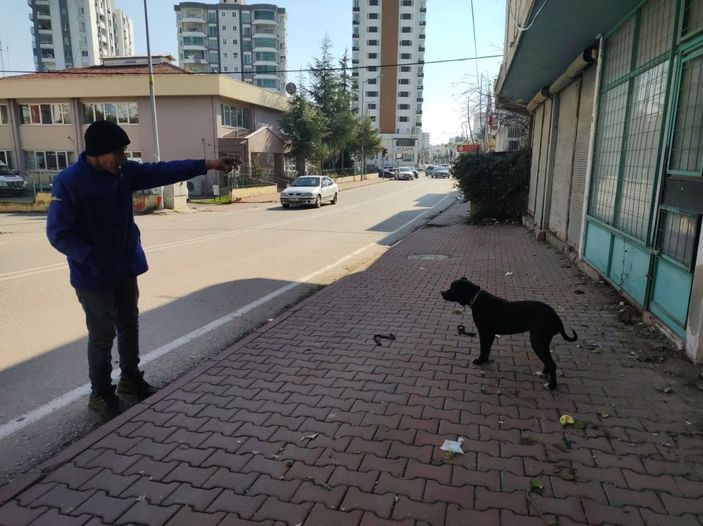 Esnaf, sokağa bırakılan pitbullu yakalayıp, polise teslim etti -6