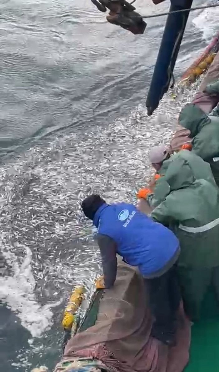 d Yasal boyda olmayan 5 tona yakın istavriti denize geri bıraktı -3