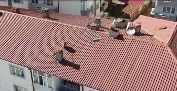 Dron filosuyla uyuşturucu operasyonu -6