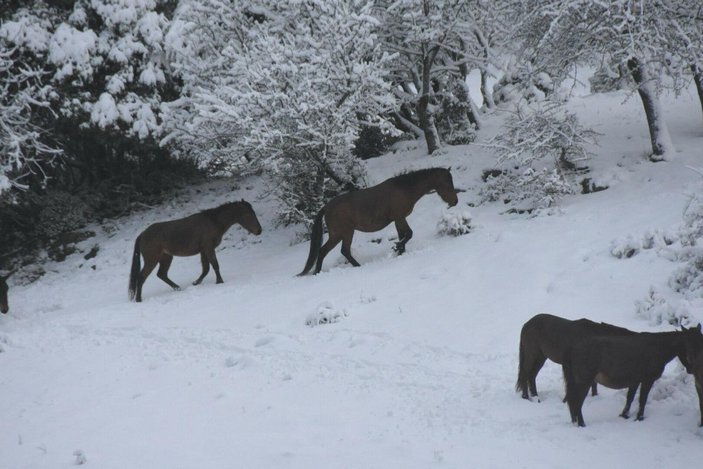 İzmir'de kar yağışı; Sabuncubeli Geçidi'nde önlem alındı -7