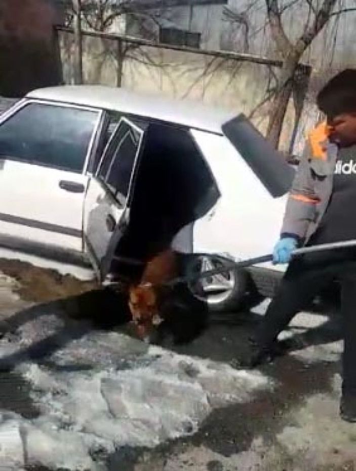 Mahalleli Pitbull beslediğini ihbar etti, 14 bin 982 TL ceza kesildi  -2