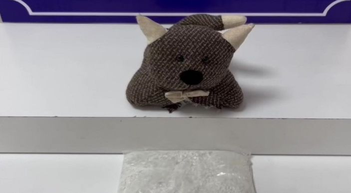 Beylikdüzü'nde peluş oyuncaktan uyuşturucu çıktı -2