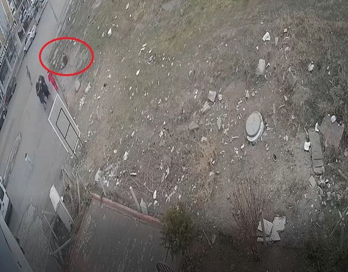 'Uçan tekme'li köpek besleme kavgası -8