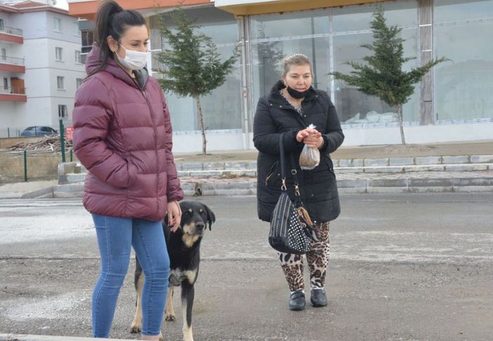 'Uçan tekme'li köpek besleme kavgası -2