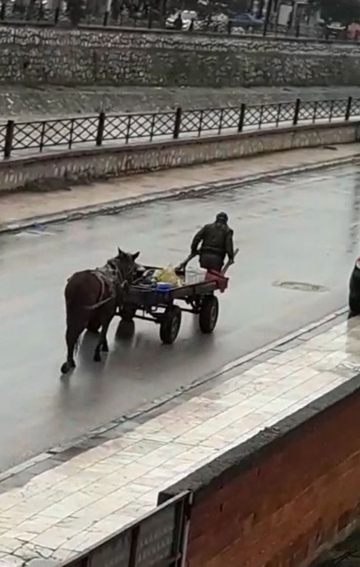 Atı yorulunca arabayı kendisi çekti -2