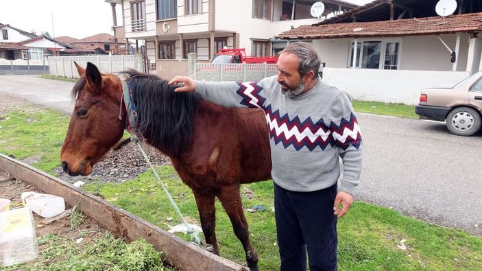 Atı yorulunca arabayı kendisi çekti -5