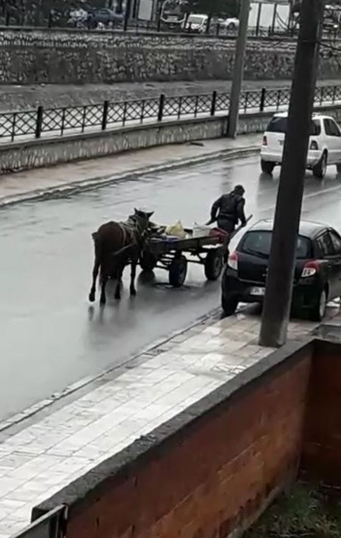 Atı yorulunca arabayı kendisi çekti -3