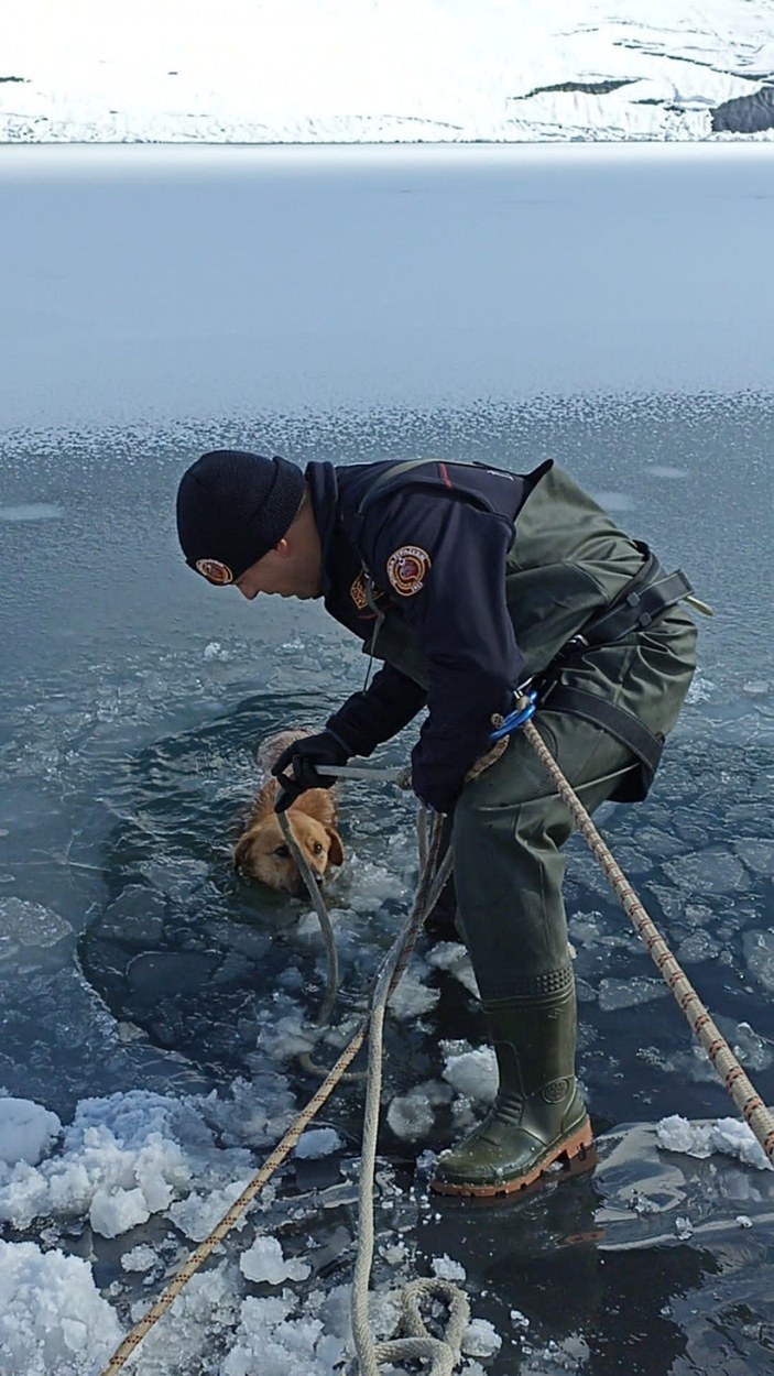 Buz kırılınca gölete düşen köpek, donmak üzereyken kurtarıldı -1