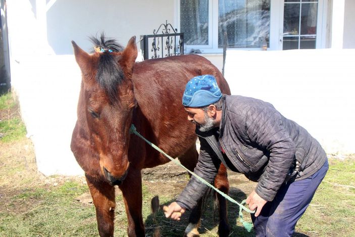 'Gül'e yem ve bakım desteği -3