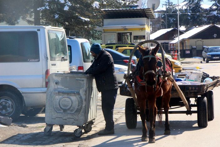 'Gül'e yem ve bakım desteği -6