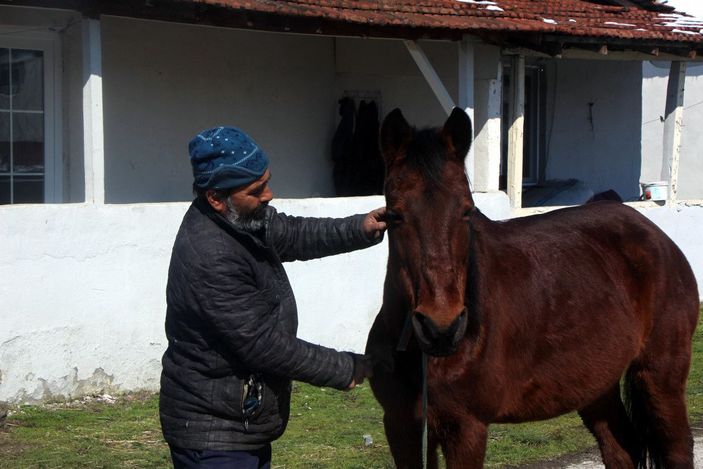 'Gül'e yem ve bakım desteği -4