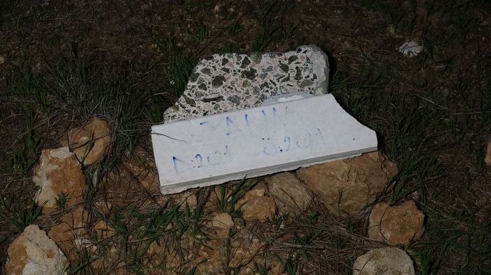 Ormandaki mezardan köpek ölüsü çıktı -2