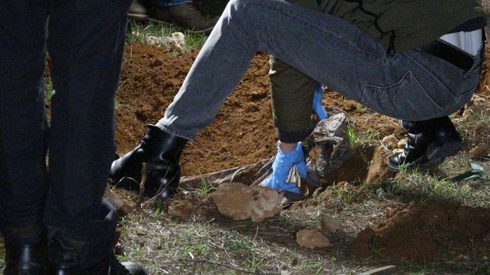 Ormandaki mezardan köpek ölüsü çıktı -4