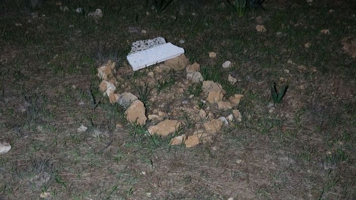 Ormandaki mezardan köpek ölüsü çıktı -1