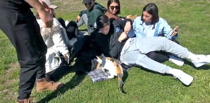 Kedi, ölen yavrusunu kilimin üzerine taşıyıp, yaladı -2