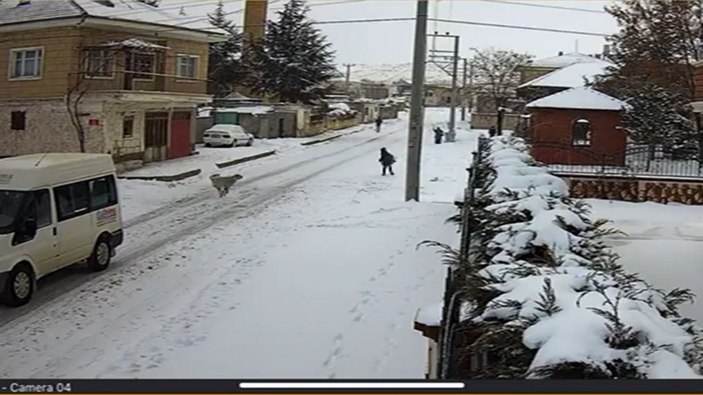 Yusuf’a saldıran köpeklerin, Hayvan Kasabasının bıraktığı köpekler olduğu ortaya çıktı -1