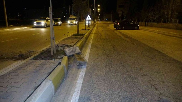 Adıyaman’da yola çıkan köpek kazaya neden oldu