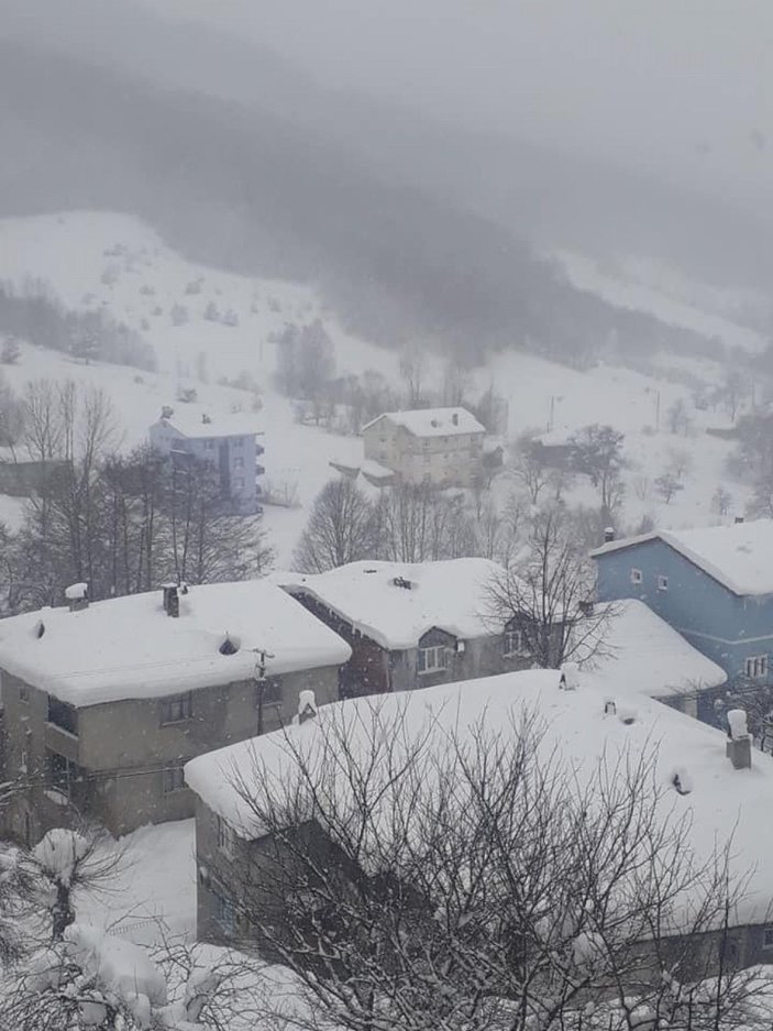 Doğu Karadeniz'de kar esareti; beyaz örtü altındaki taksisini aradı -2