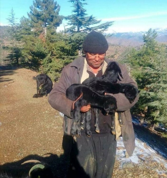 Ağaçtan düşüp, ağır yaralandı -3