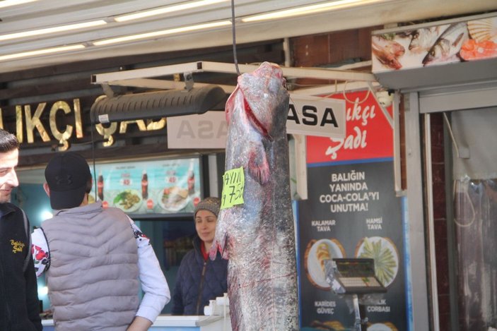 Balıkçının ağına, 40 kiloluk yayın balığı takıldı -1