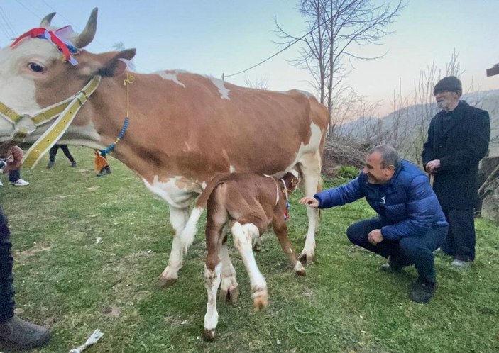 Heyelanda havyanlarını kaybeden çifte inek yardımı -4