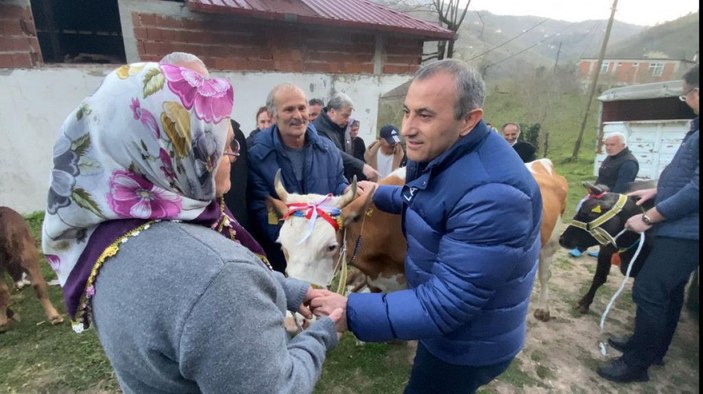 Heyelanda havyanlarını kaybeden çifte inek yardımı -1