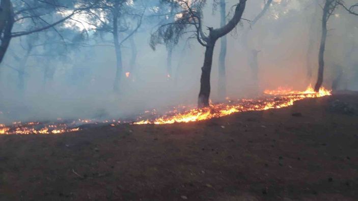 i Balıkesir’de orman yangını