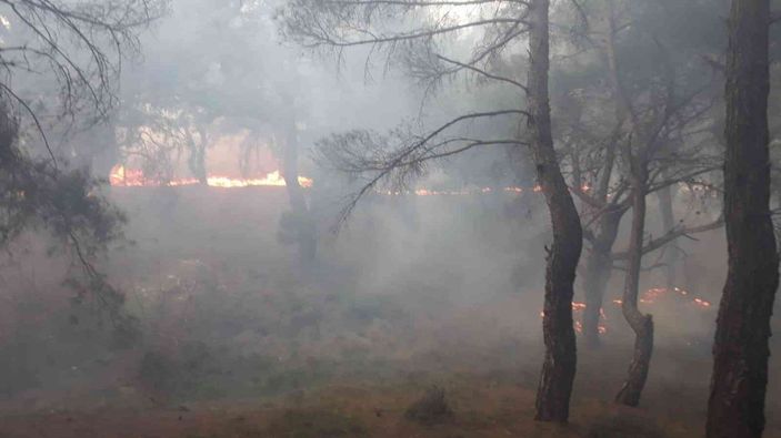 i Balıkesir’de orman yangını