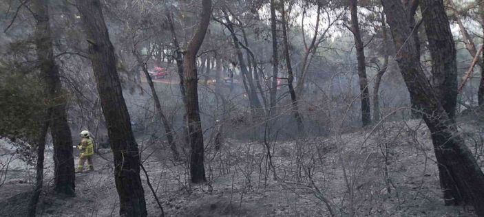 i Balıkesir’de orman yangını