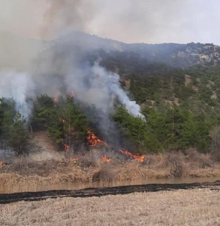 Çorum’da 2 orman yangını; 11 hektar alan zarar gördü -6