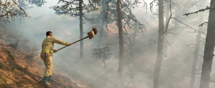 Çorum’da 2 orman yangını; 11 hektar alan zarar gördü -4