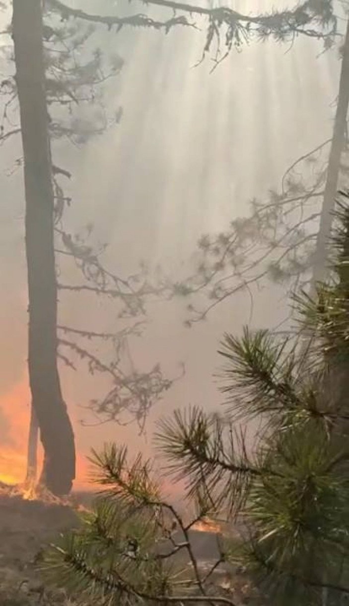 Çorum’da 2 orman yangını; 11 hektar alan zarar gördü -2