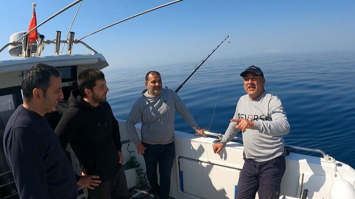 Saros Körfezi'nde yarım tonluk köpek balığı yakaladılar -10
