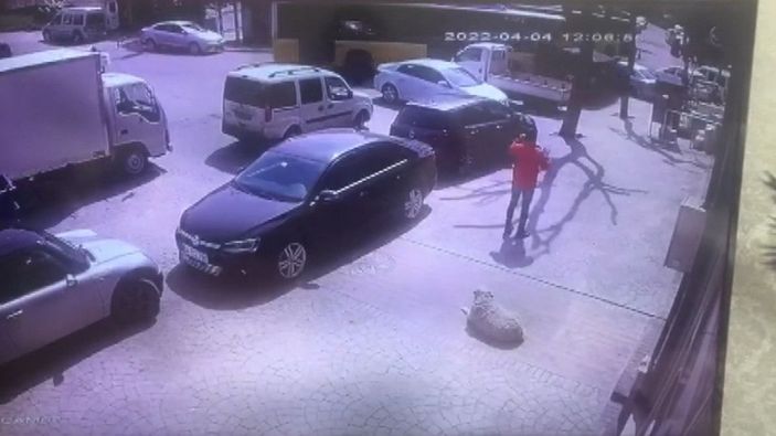 Beyoğlu'nda İETT otobüsü kazası kamerada (1) -2