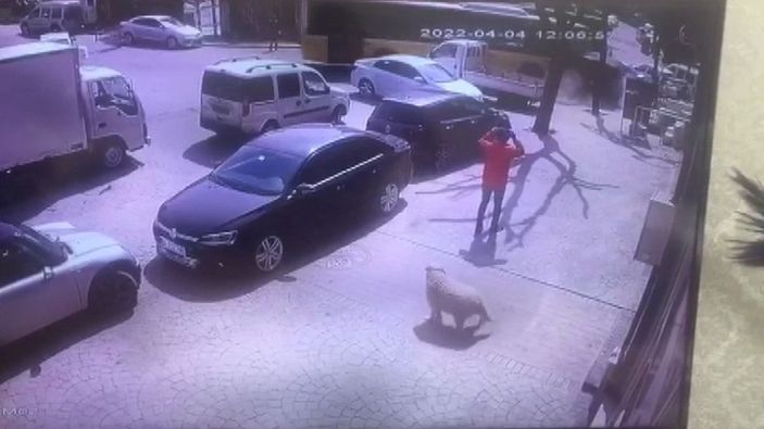 Beyoğlu'nda İETT otobüsü kazası kamerada (1) -3