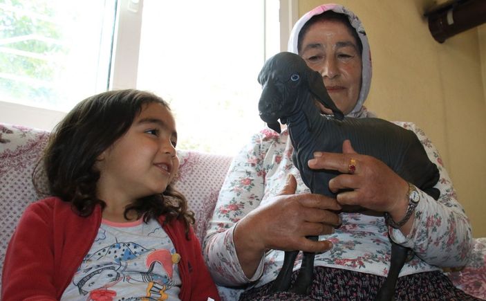 Gören şaşırdı... Tüysüz doğdu, bebek gibi bakılıyor -8