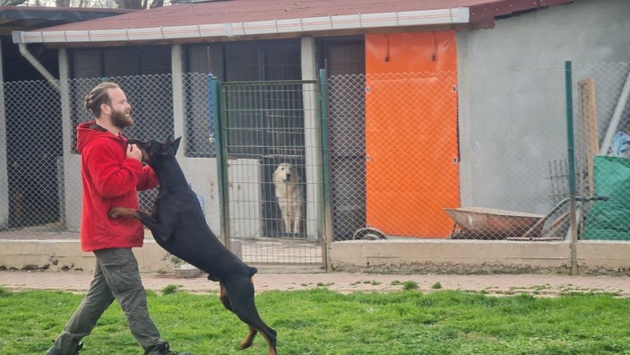 Köpek saldırısından kaçınmak için birinci kural: Kesinlikle göz teması kurmayın -9