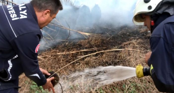 Antalya'da sazlık yangını -7