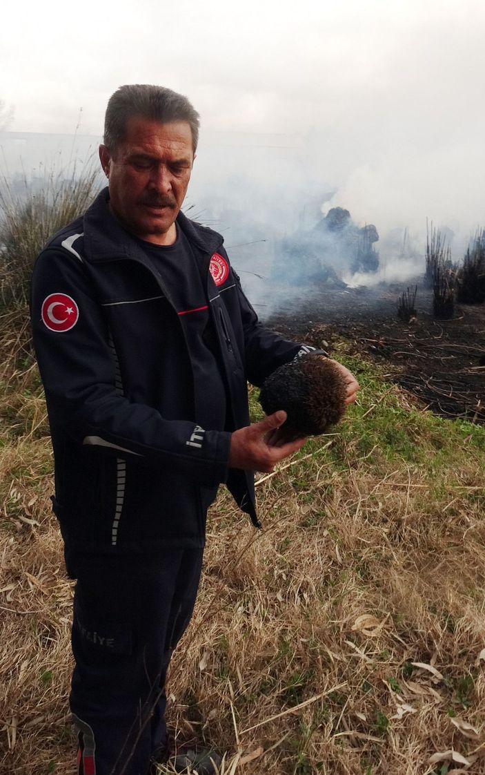 Antalya'da sazlık yangını -6