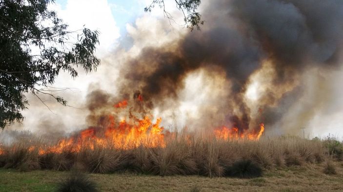 Antalya'da sazlık yangını -1