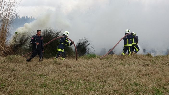 Antalya'da sazlık yangını -5